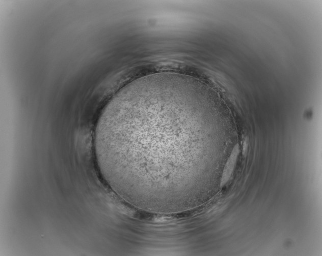X0000092010753200709131534