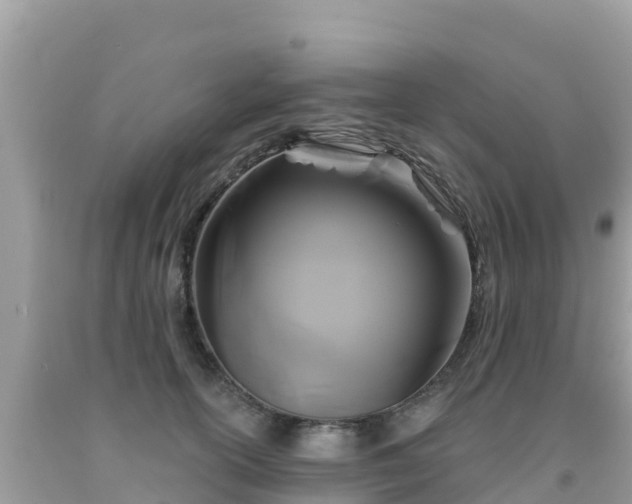 X0000092010754200709131534