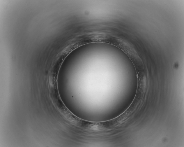X0000092010755200709131534