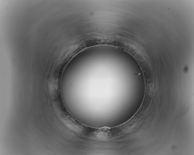 X0000092010756200709131534