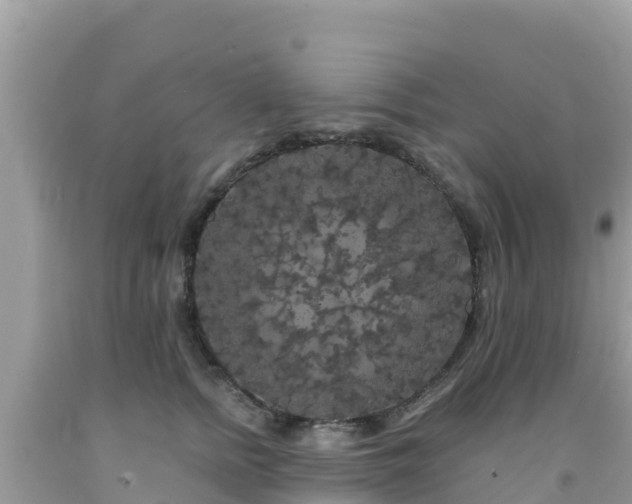 X0000092010758200709131534