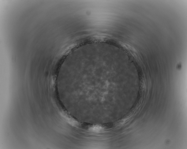 X0000092010759200709131534