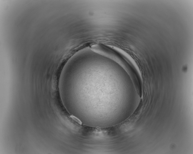 X0000092010760200709131534
