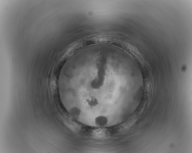 X0000092010761200709131534