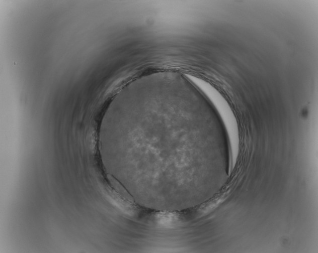X0000092010762200709131534