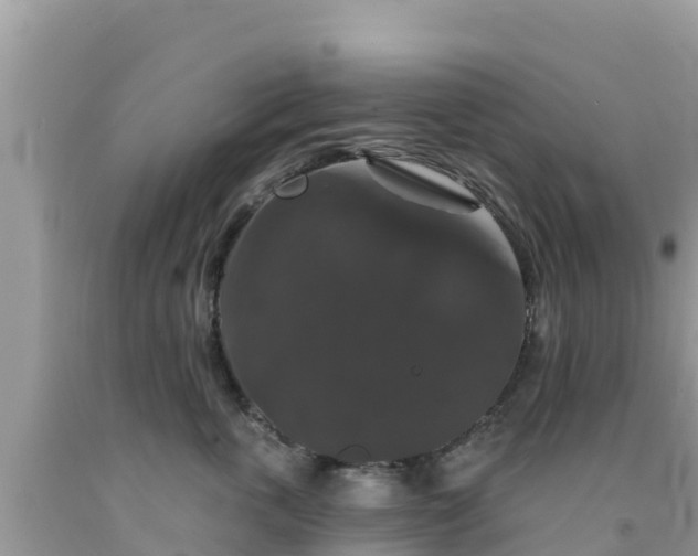 X0000092010763200709131534