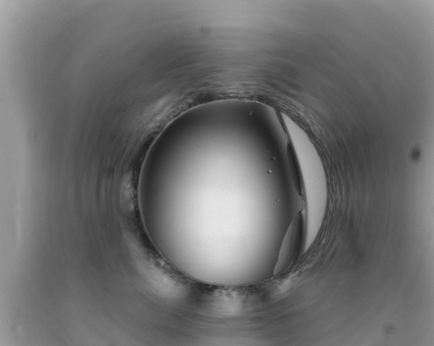 X0000092010764200709131534