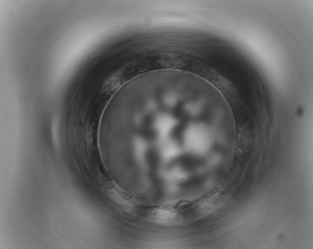 X0000092010765200709131534