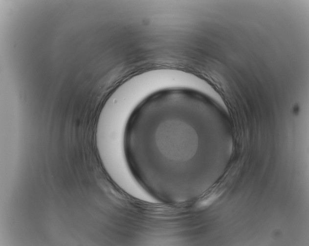 X0000092010766200709131534
