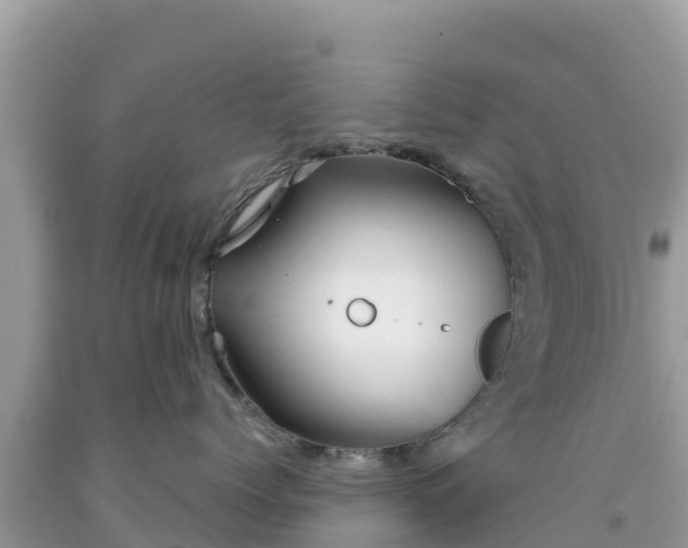 X0000092010768200709131534
