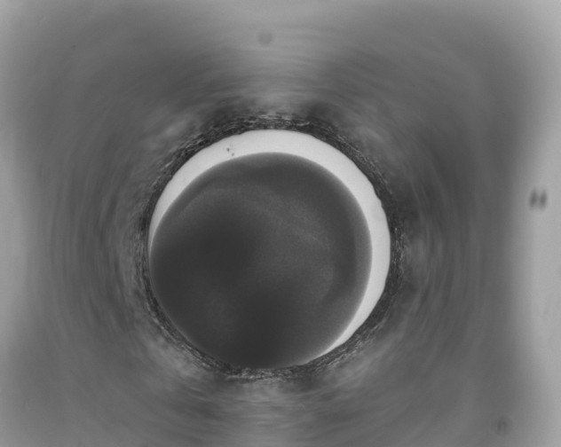 X0000092010769200709131534