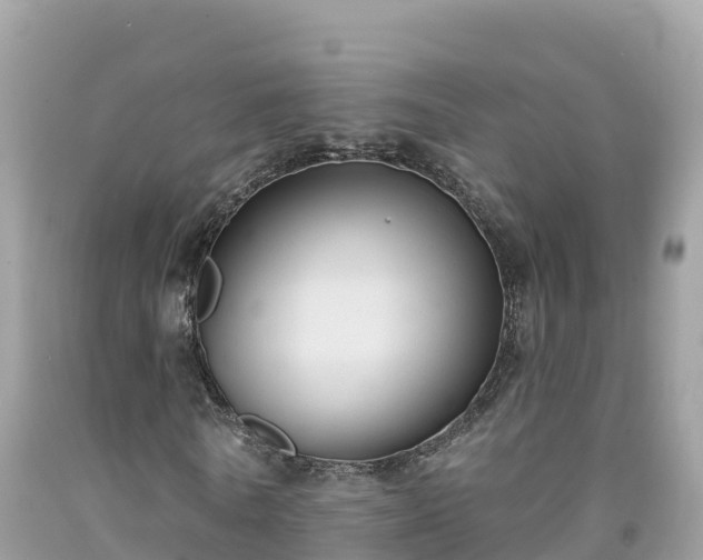 X0000092010770200709131534