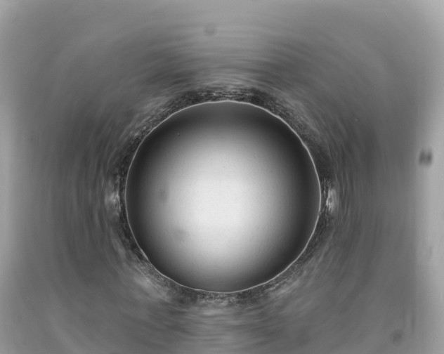 X0000092010771200709131534