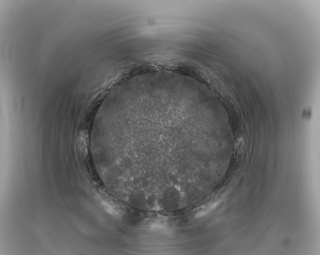 X0000092010772200709131534