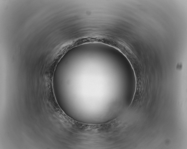X0000092010773200709131534