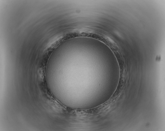 X0000092010774200709131534