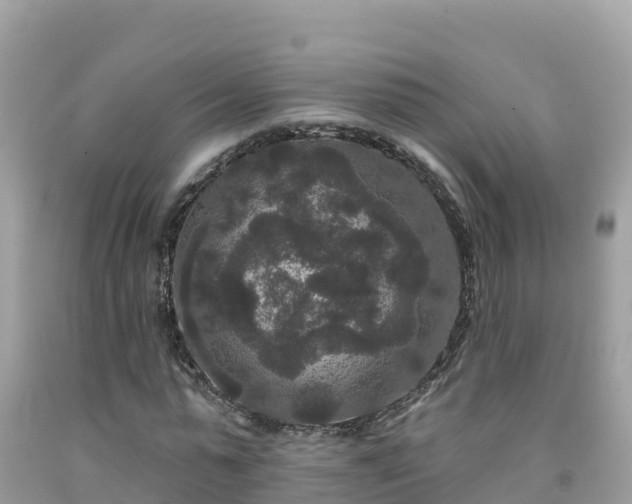 X0000092010775200709131534