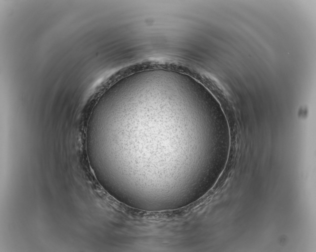 X0000092010776200709131534