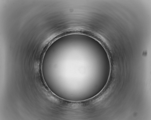 X0000092010778200709131534