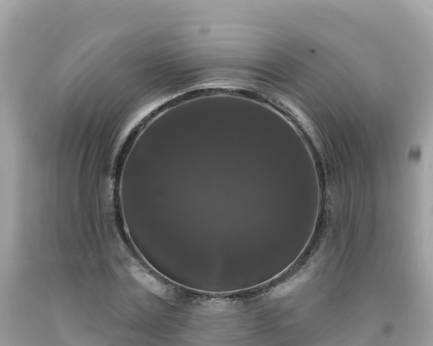 X0000092010779200709131534
