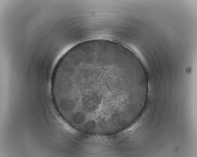 X0000092010780200709131534