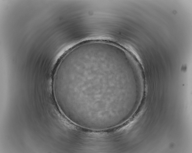 X0000092010781200709131534