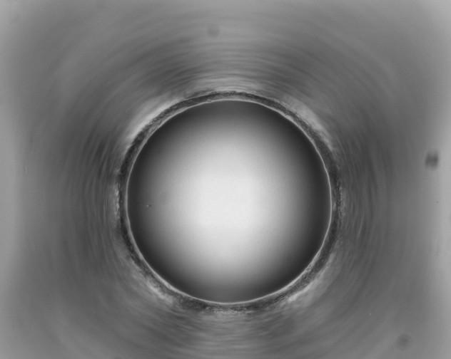 X0000092010782200709131534