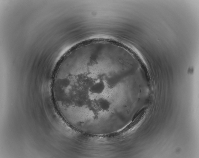X0000092010783200709131534