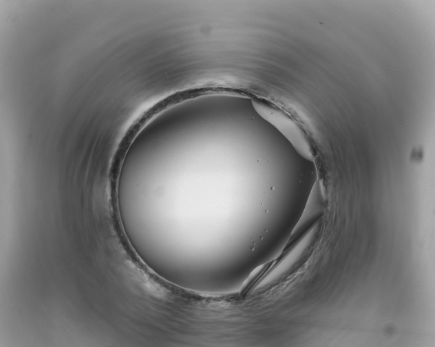 X0000092010784200709131534