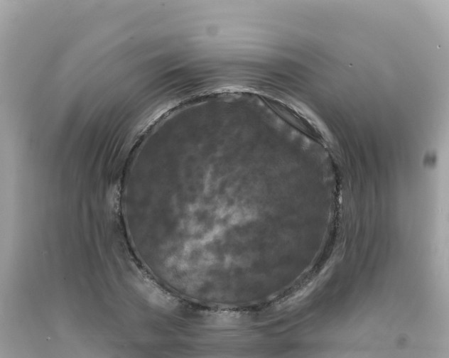 X0000092010785200709131534