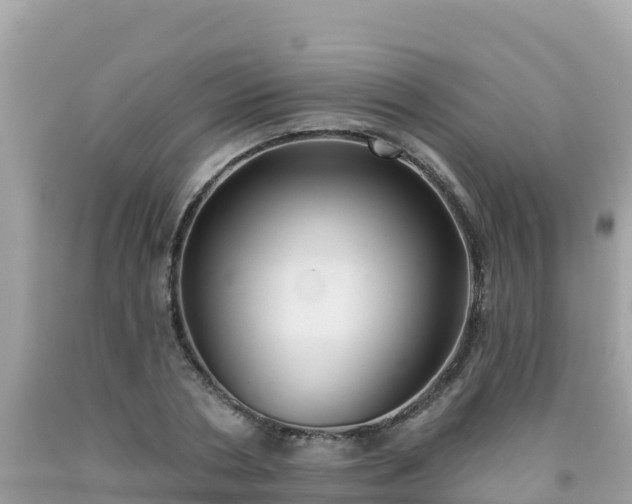 X0000092010786200709131534
