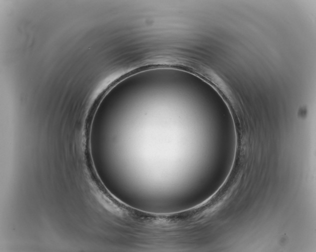 X0000092010787200709131534