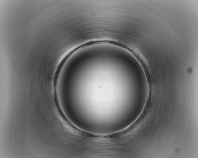 X0000092010789200709131534