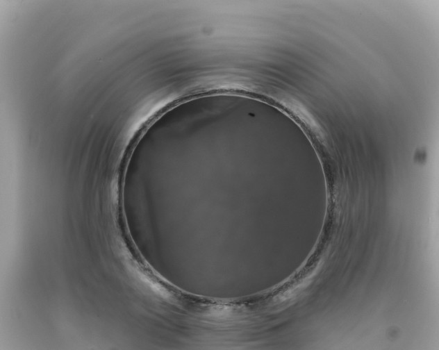 X0000092010790200709131533