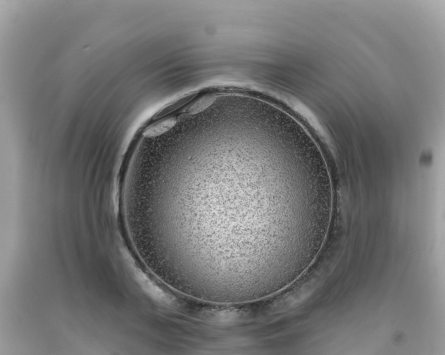 X0000092010791200709131533