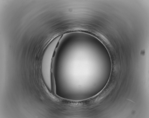 X0000092010793200709131533