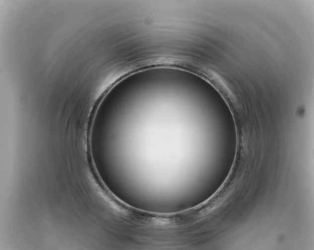 X0000092010794200709131533