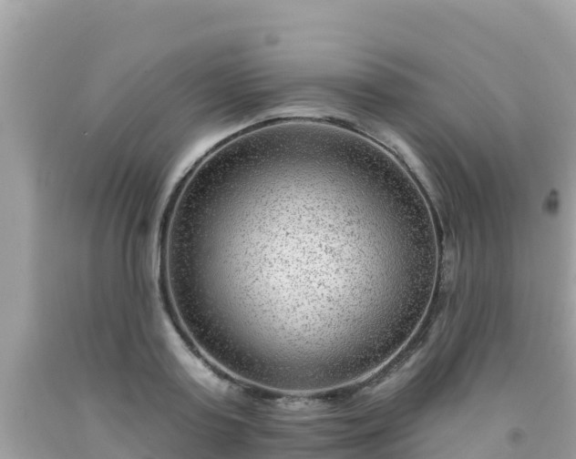 X0000092010795200709131533