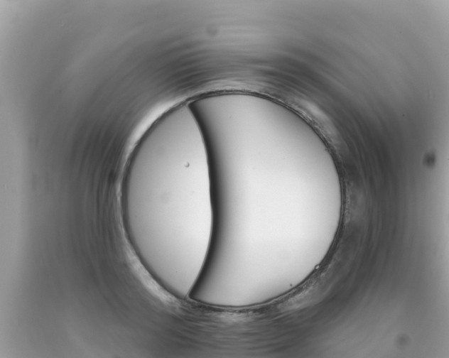 X0000092010796200709131533