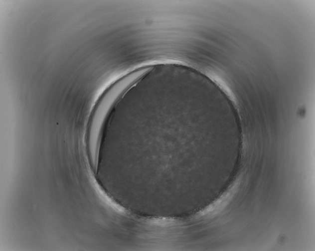 X0000092010797200709131533