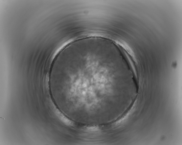 X0000092010798200709131533