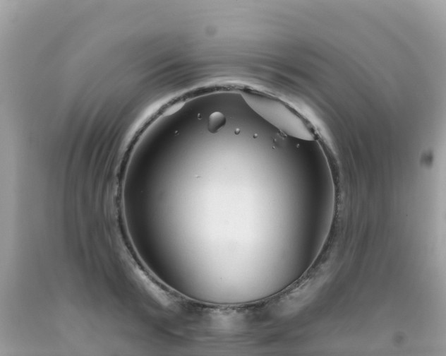 X0000092010799200709131533
