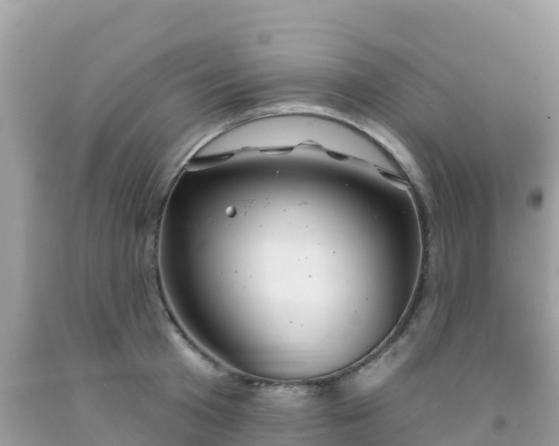 X0000092010801200709131533