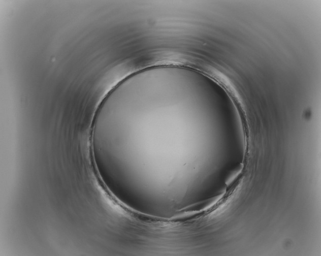 X0000092010802200709131533