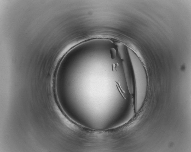 X0000092010803200709131533