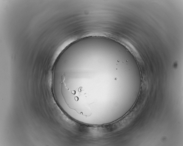 X0000092010804200709131533