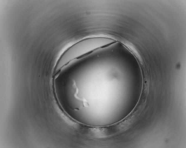 X0000092010805200709131533