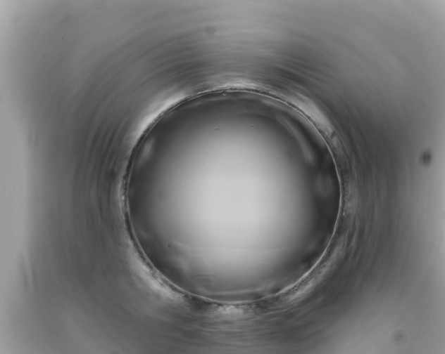 X0000092010806200709131533