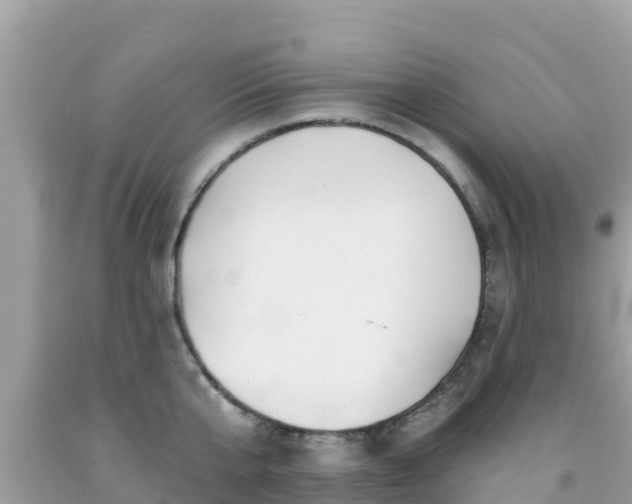 X0000092010807200709131533