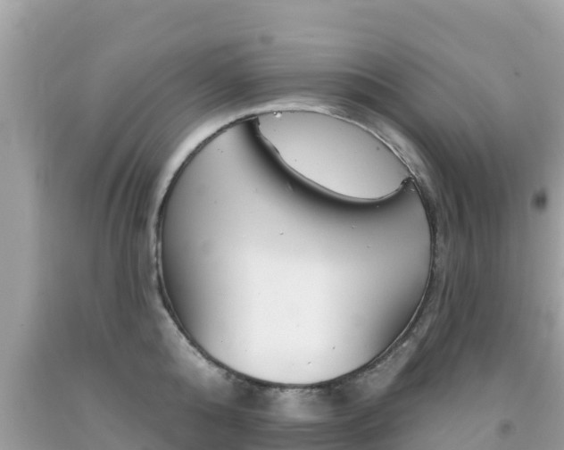 X0000092010808200709131533